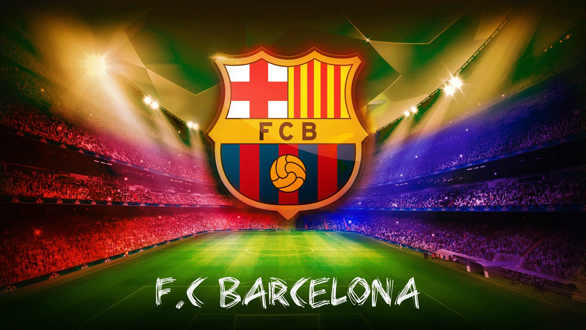 自由泳荷兰女将节奏把握精准，自由泳名将