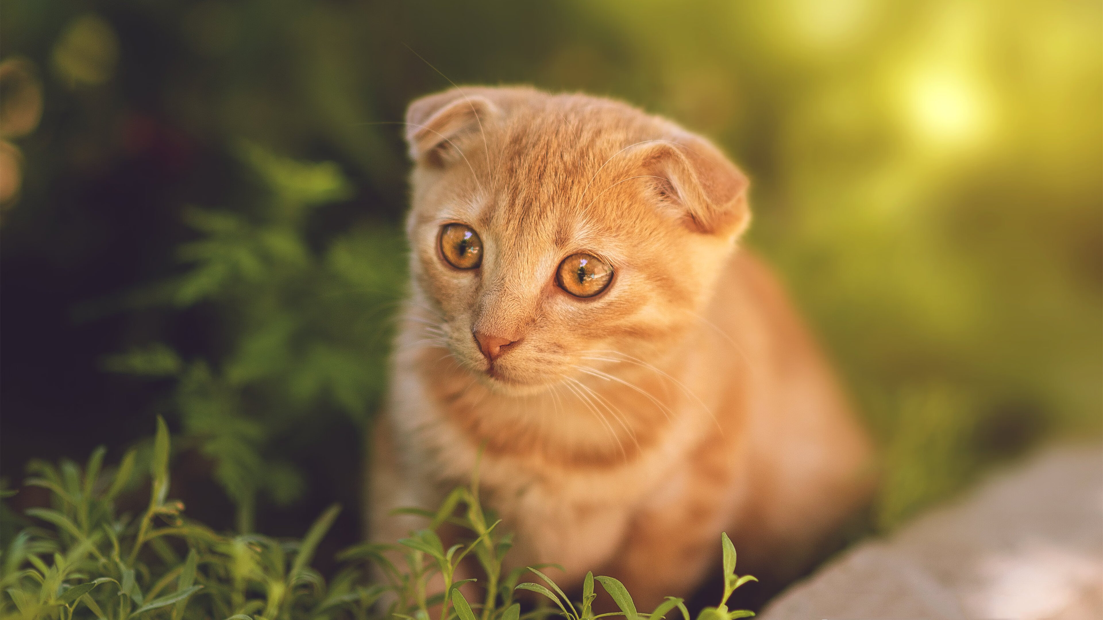 开云kaiyun-新兴市场：非洲国家台球运动快速崛起，非洲台是啥